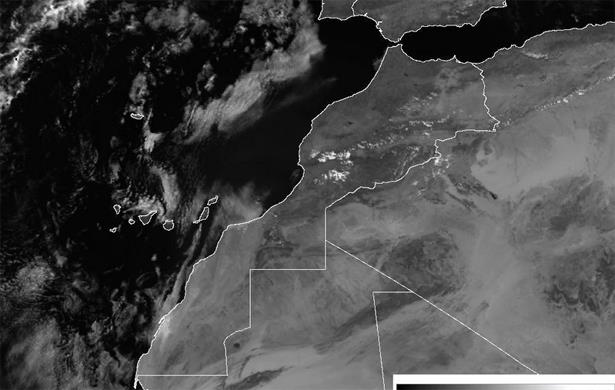 طقس بارد وضباب اليوم في هذه المناطق