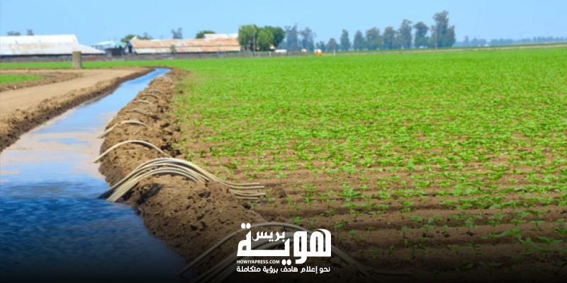 d8a7d984d981d984d8a7d8add8a9-d988d8a7d984d8b5d98ad8af-d988d8a7d984d8bad8a7d8a8d8a9-d987d988d98ad8a9-3