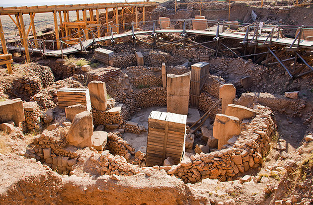 حفريات شايلى اروفه