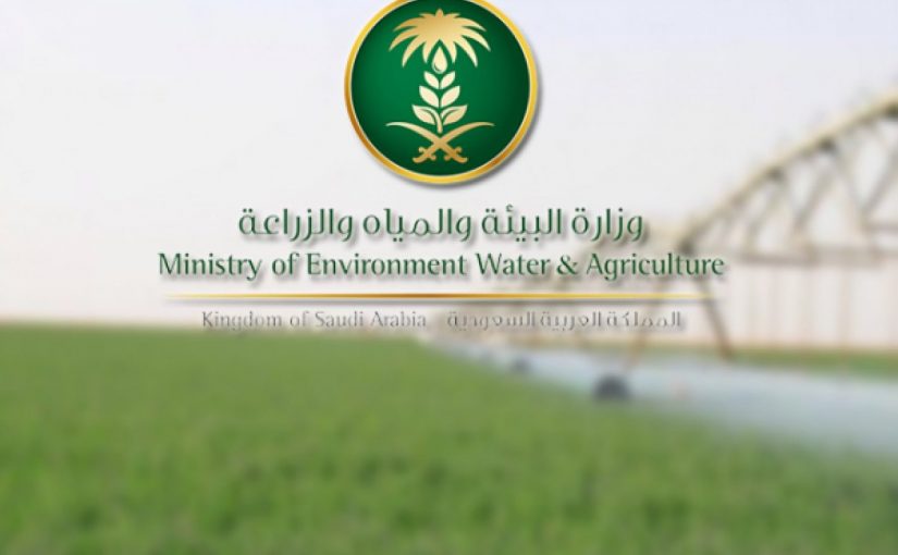 شروط التسجيل في برنامج ريف
