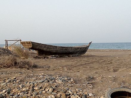 شناص