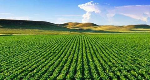 الموسم الفلاحي 2017-2018 كان استثنائيا وواعدا