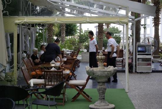 مطعم Gattini Bistro