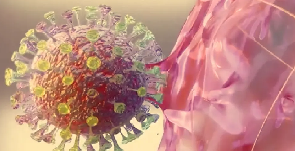 d986d982d8b7d8a9-d8b6d8b9d981-d983d988d8b1d988d986d8a7-1