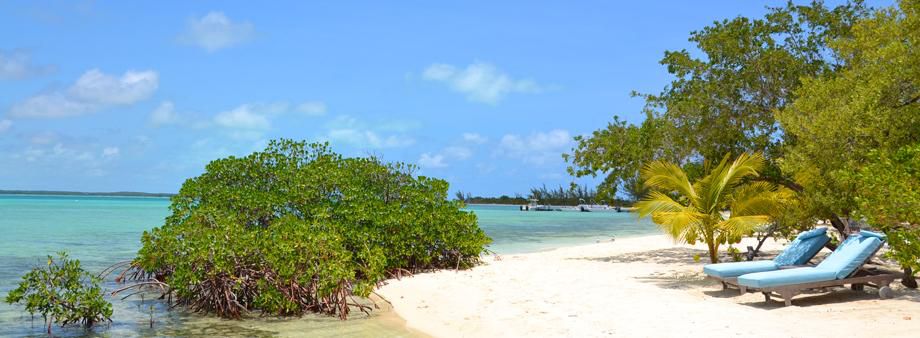 جزيرة Andros Island