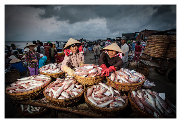 Fresh fish for market