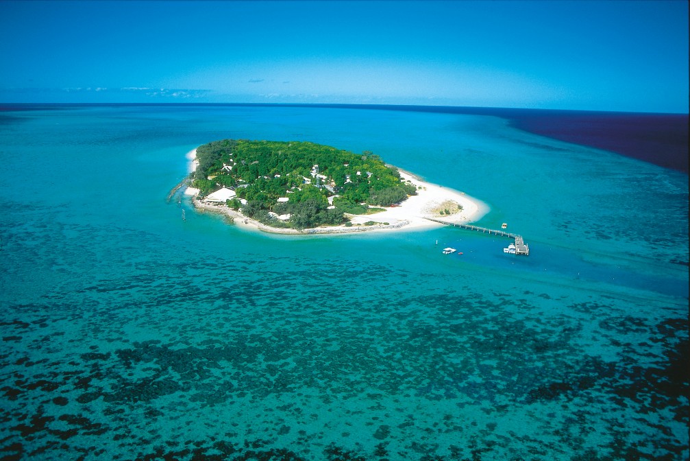 Heron Island is a sandy cay