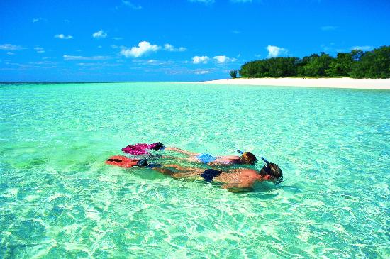 Heron Island Snorkelling