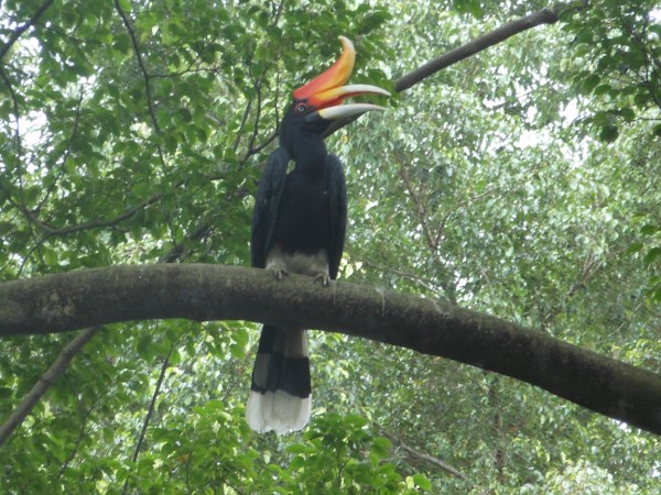bird park