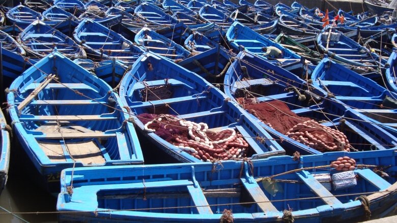 انخفاض حجم التفريغ للصيد الساحلي والتقليدي بنسبة 13% عند متم ماي 2018