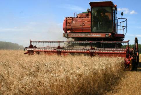 باحثان من غزة يصنعان منتجا بديلا للقمح