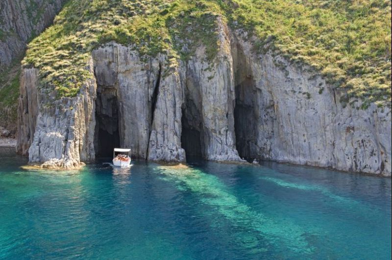Palmarola
