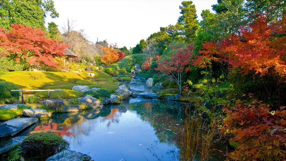 Kyoto is a place where Japan’s culture