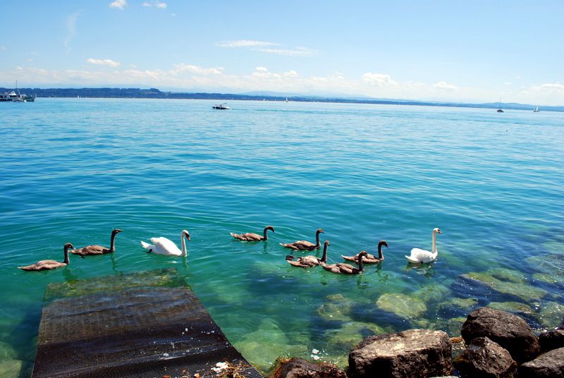 Lake Neuchâtel