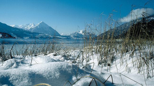 Lake Thun in Winter