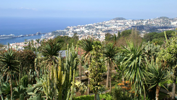 Madeira
