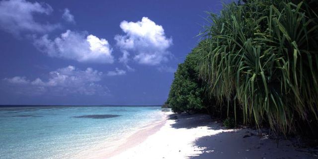 Maldives Republic