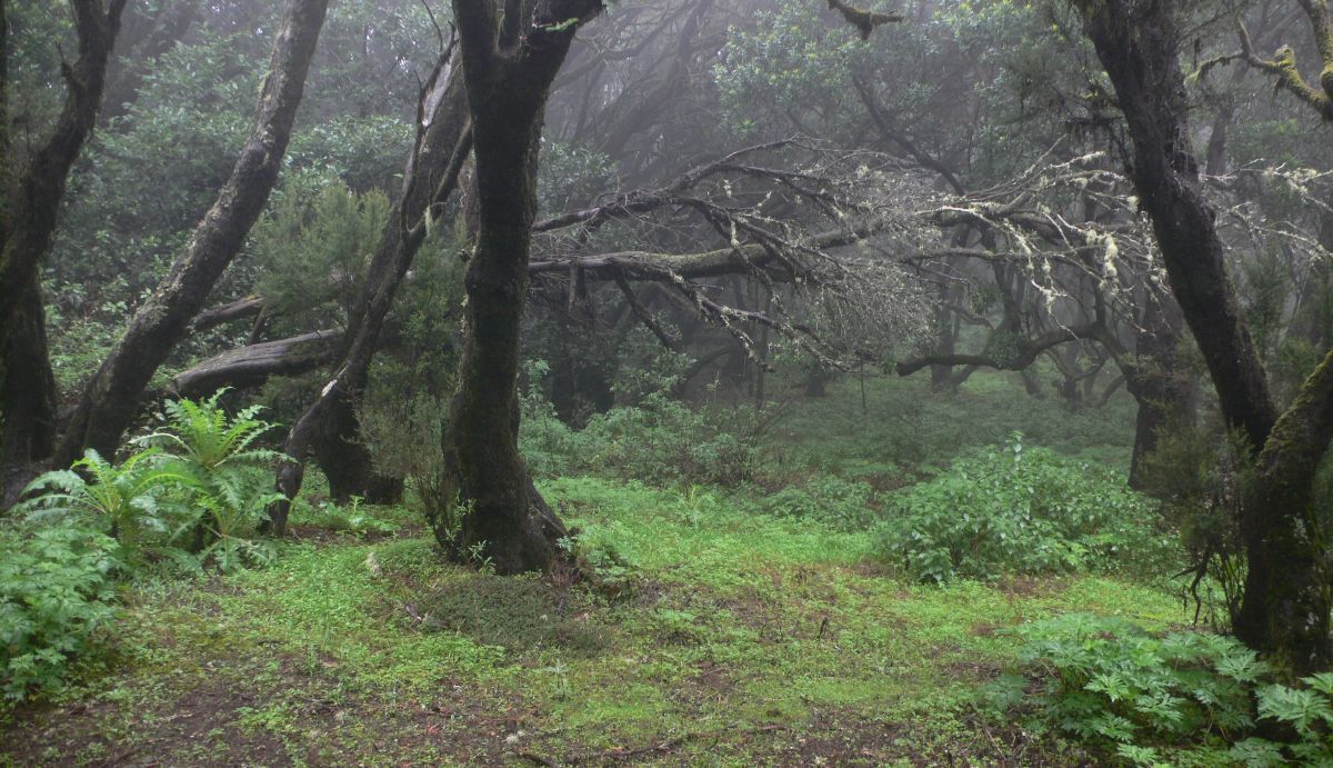 Most of the precipitation falls in the winter