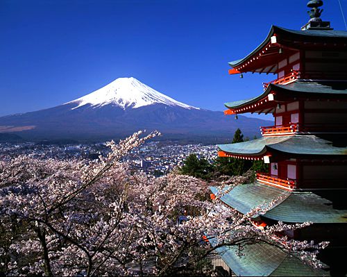 mount fuji Sakura castle