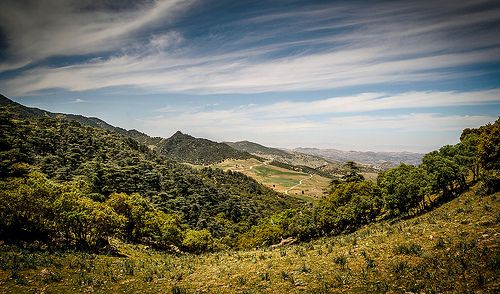 National Park Theniet El-Had