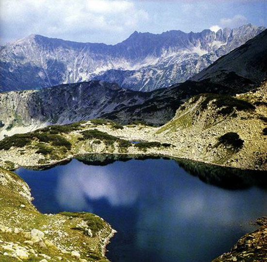 nice Bulgarian Claims