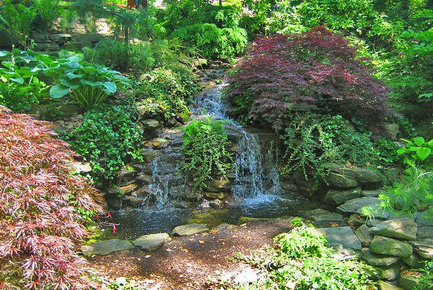 Cleveland Botanical Garden
