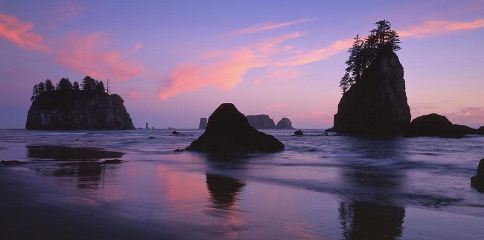 Kalaloch Beach