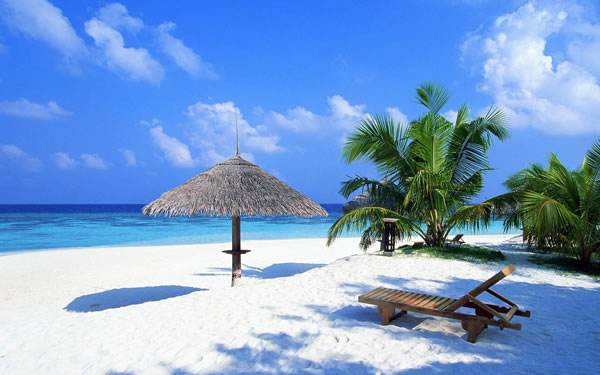 Palm Beach Housekeeper