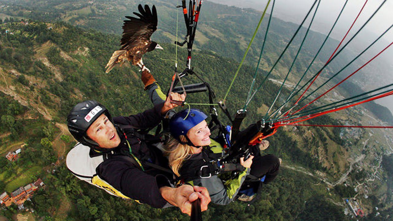 Paragliding With Hawks