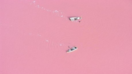 Pink Lake in Senegal