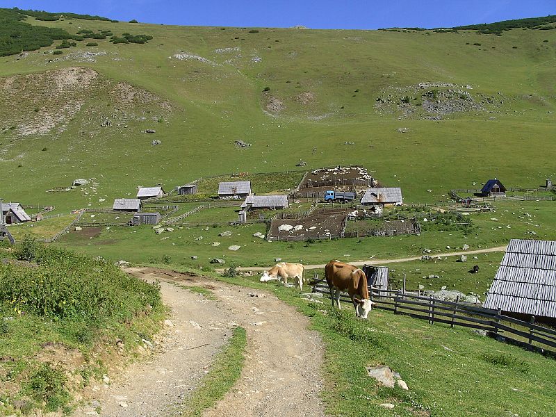surrounding village