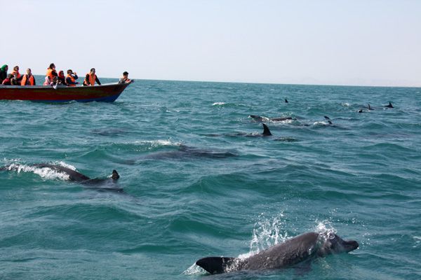 Qeshm