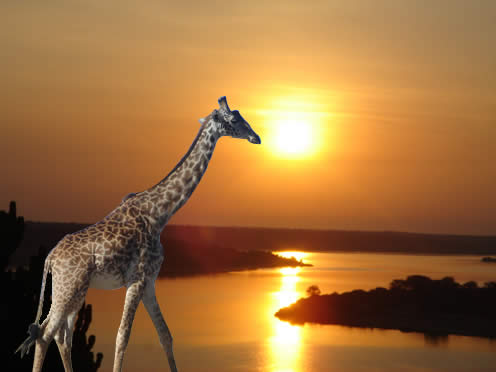 Raveoke To Rwanda