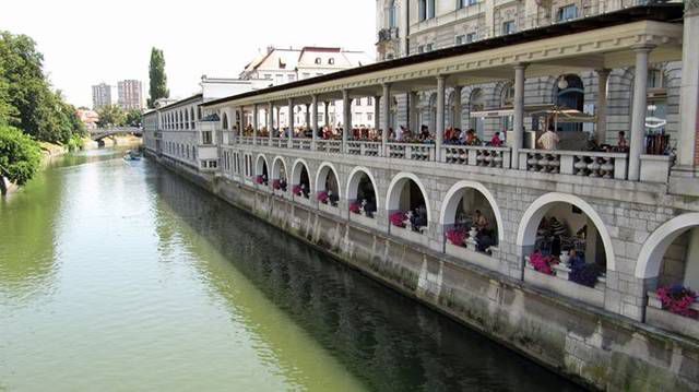 مطعم ribca