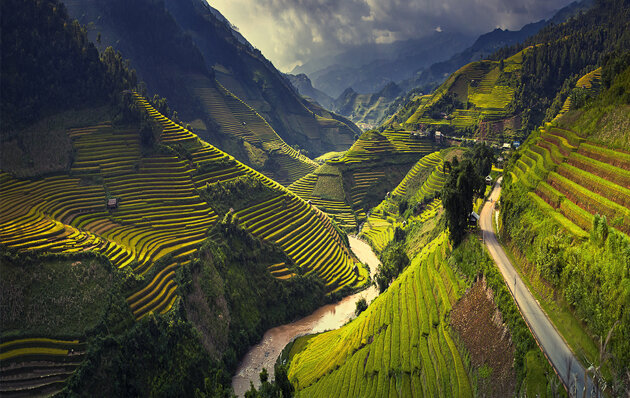 Rice terraces in Mu Cang Chai