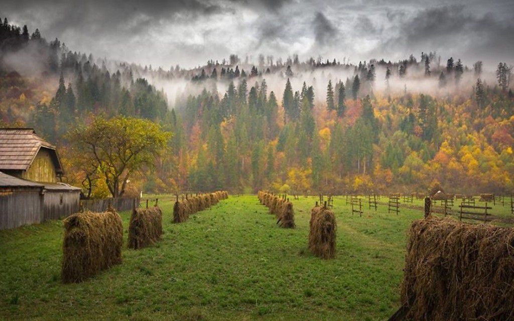 Rising Fog Over The Maramures