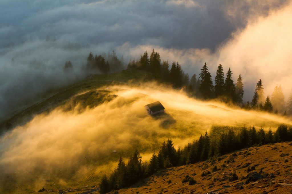 Rodna Vechein Romanian