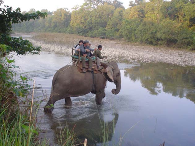 Royal Bardia National Park