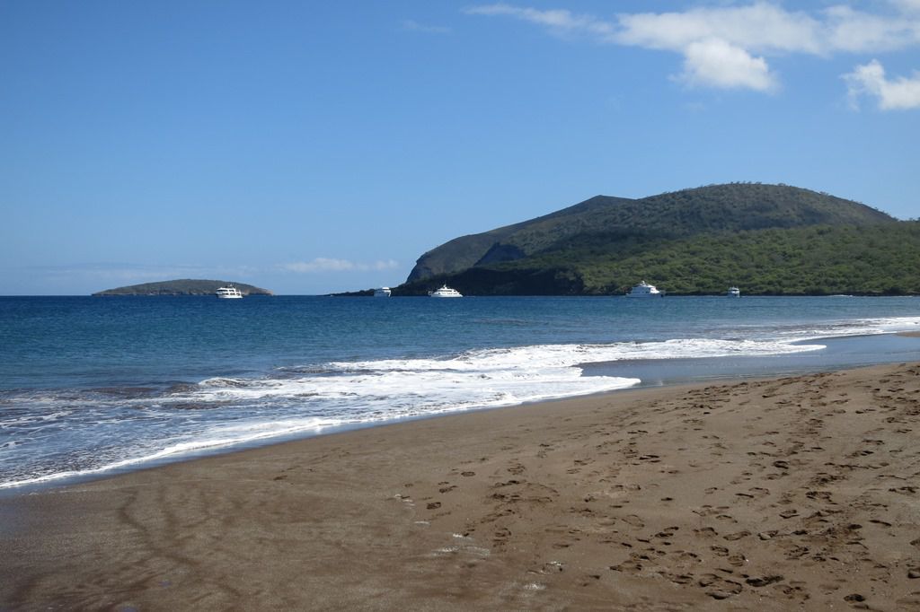 Santiago Galapagos Island
