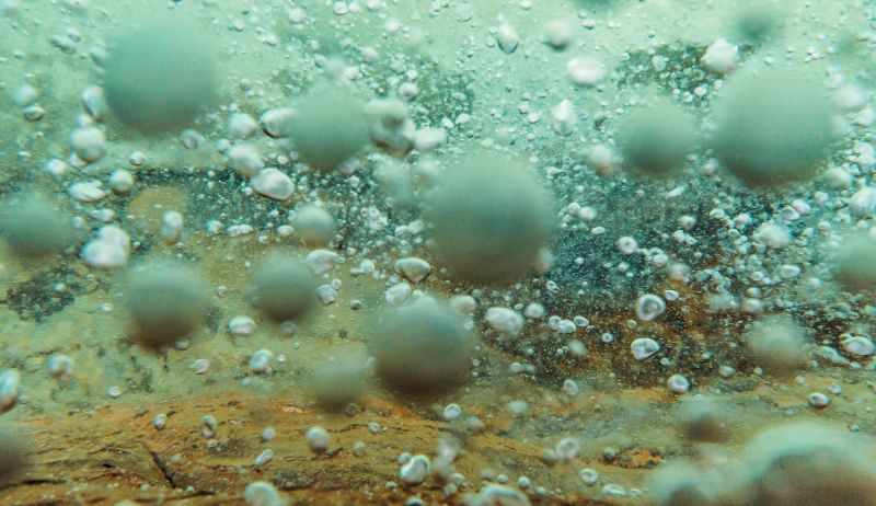 Scientists Discover a Boiling River of Amazonian Legend