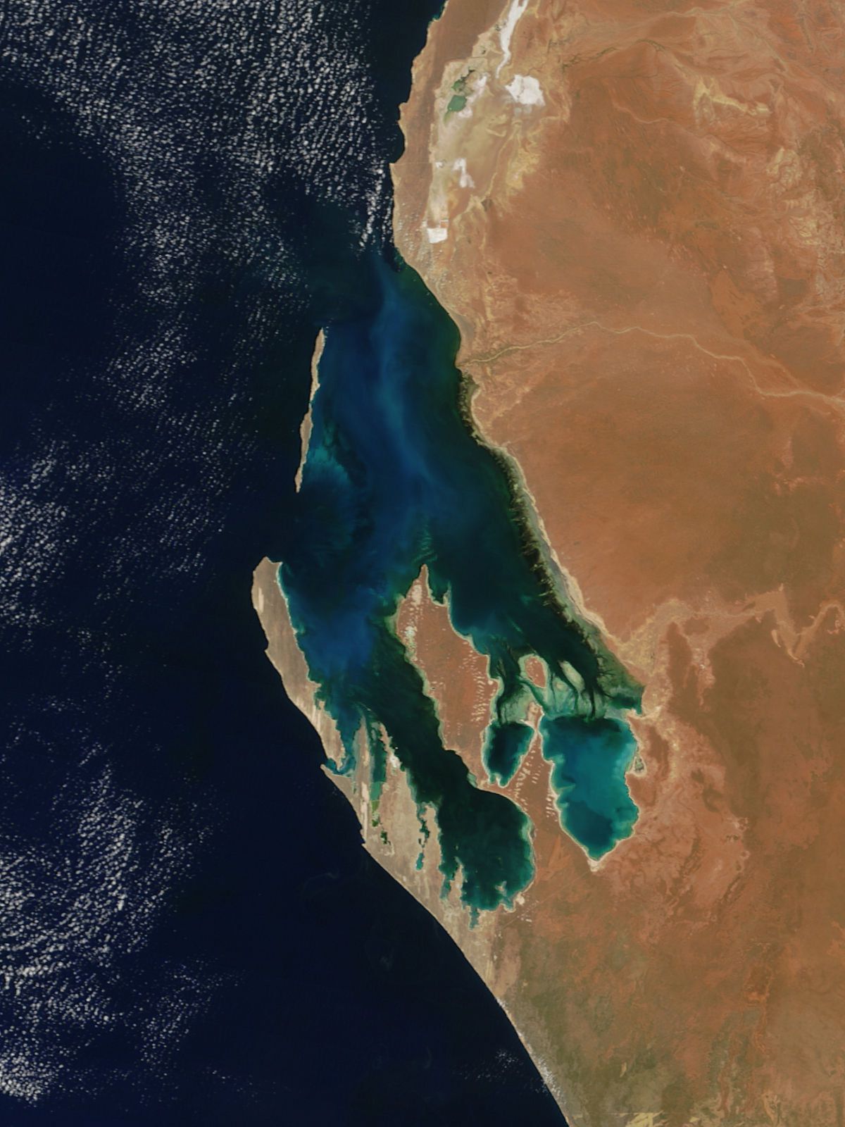 Shark Bay of Western Australia