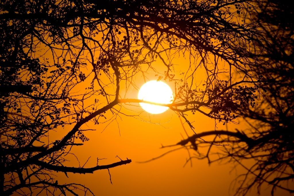 South Africa