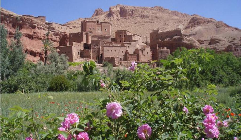 sud-marocain1_large_2x