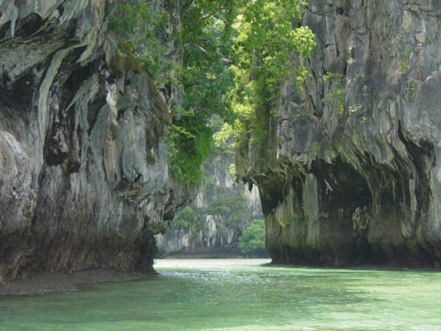 Taï National Park