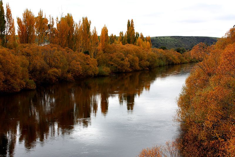 Tasmania's