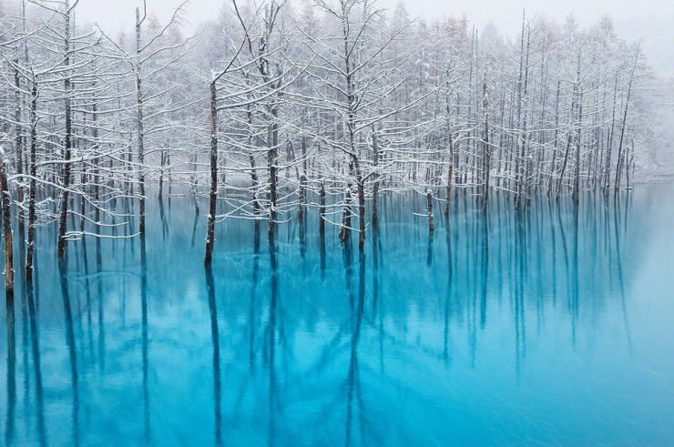 The Blue Pond