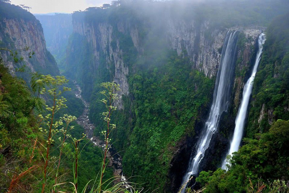 The Brazilian system of conservation units