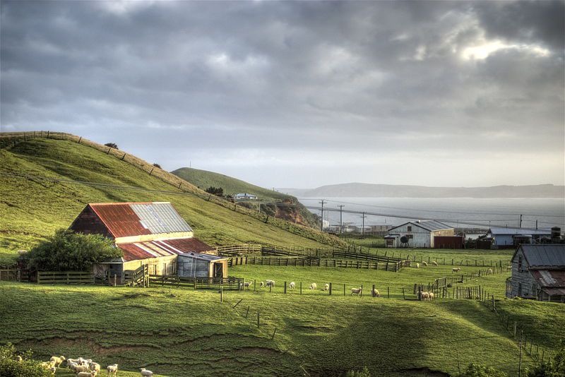 Chatham Islands