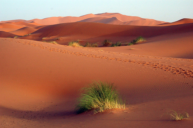 The Erg Chebbi