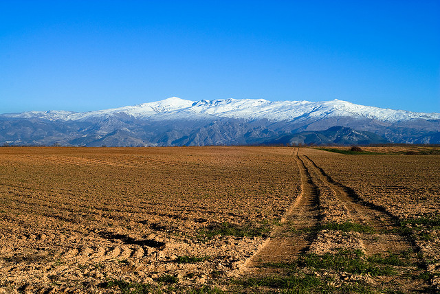the highest mountain of continental Spain